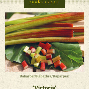 Raparperi 'Victoria'