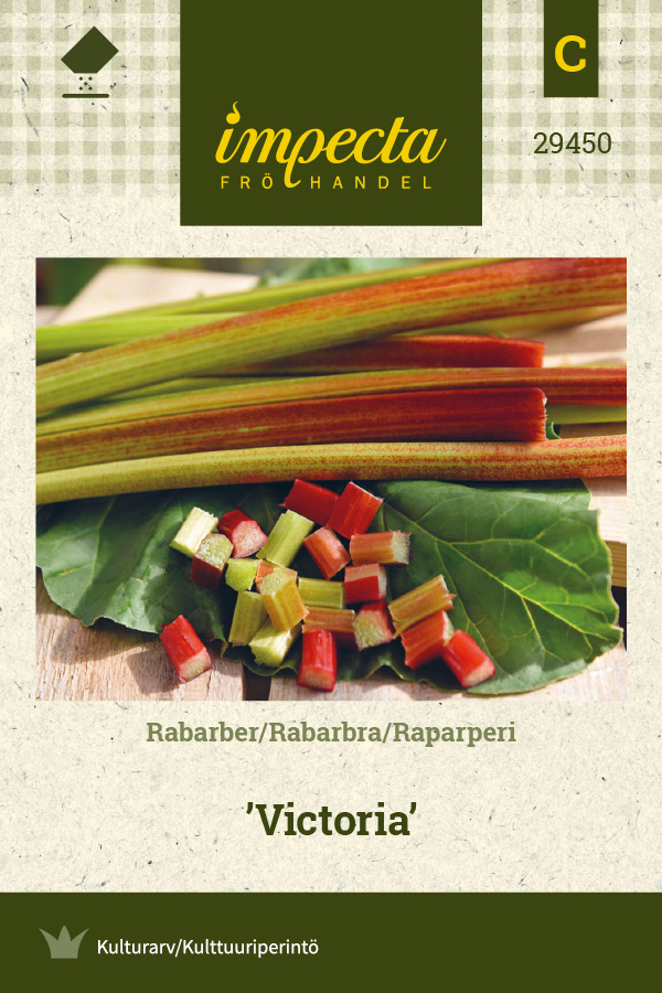 Raparperi 'Victoria'