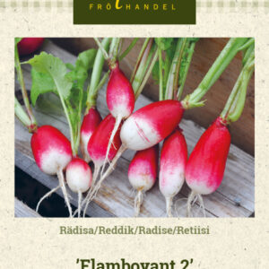 Retiisi 'Flamboyant 2'