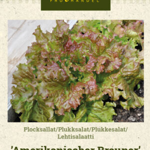 Lehtisalaatti 'Amerikanischer Brauner'