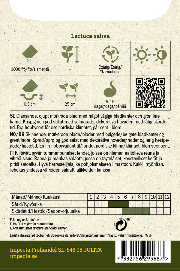 Keräsalaatti 'Apache'