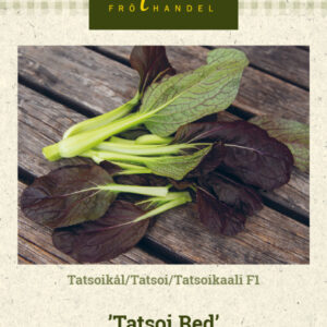 Tatsoikaali F1 'Tatsoi Red'