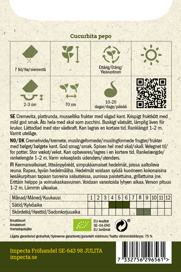 Kesäkurpitsa 'Pâtisson Blanc'