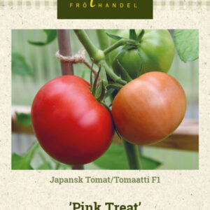 Tomaatti F1 'Pink Treat'