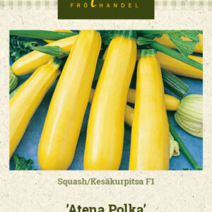 Kesäkurpitsa F1 'Atena Polka'