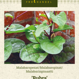 Malabarinpinaatti 'Rubra'