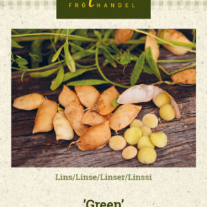 Linssi 'Green'