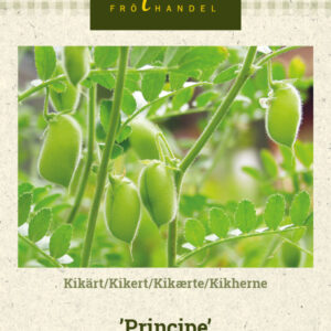 Kikherne 'Principe'