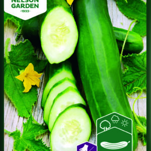 Avomaankurkku 'Sonja'