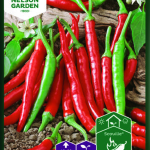 Chilipaprika 'Damián'