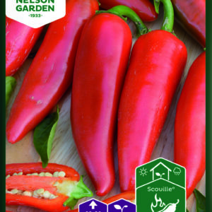 Chilipaprika 'Japo' F1