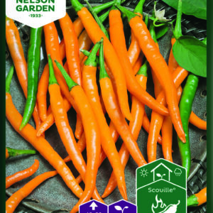 Chilipaprika 'Kilián'