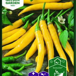 Chilipaprika 'Kristián'