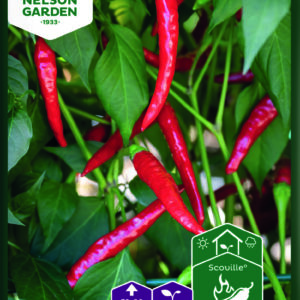 Cayennepaprika 'Toofan' F1