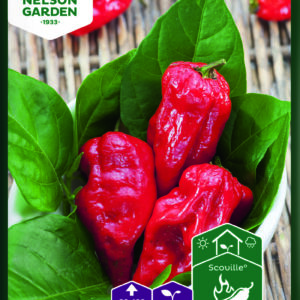 Havannapaprika 'Naga Morich'