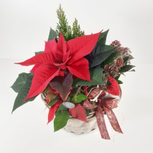 Jouluistutus 'Joulun sydän'