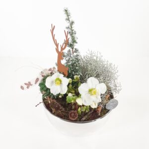 Jouluistutus 'Talven ihmemaa'