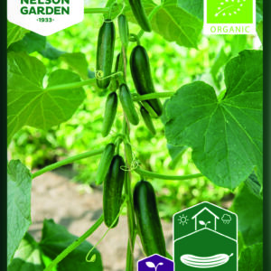 Kasvihuonekurkku 'Kaikura' F1, Organic
