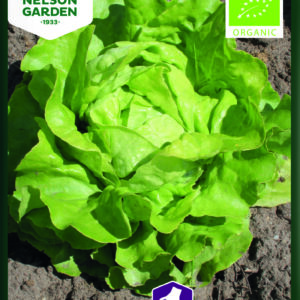 Keräsalaatti 'Suzan', Organic