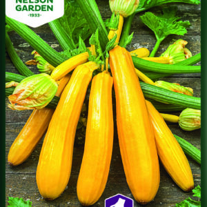 Kurpitsa, Kesä-, Yellowstar F1