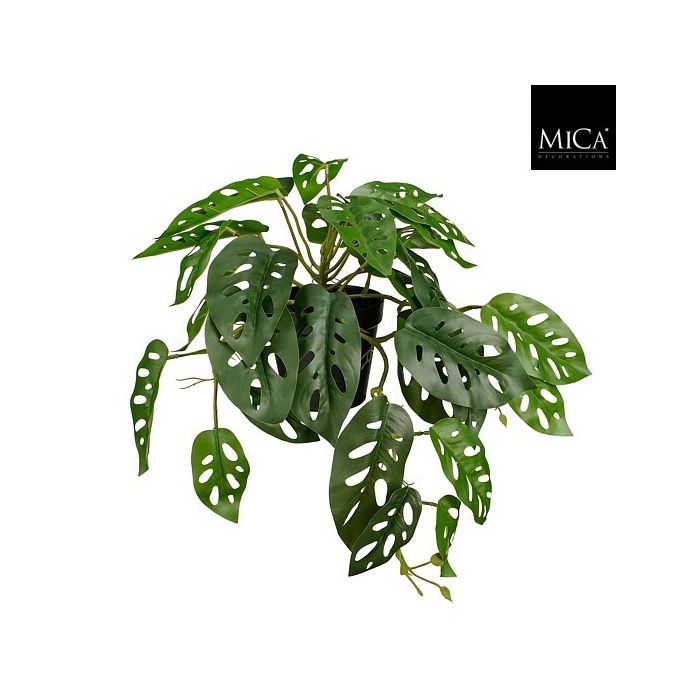 Peikonlehti riippuva vihreä 40cm