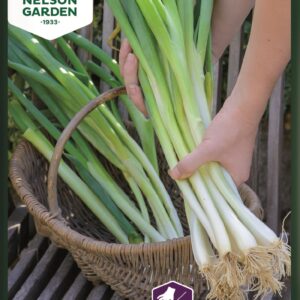 Pillisipuli 'Long White Ishikura'