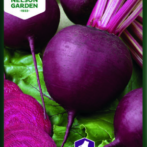 Punajuuri 'Redshine'