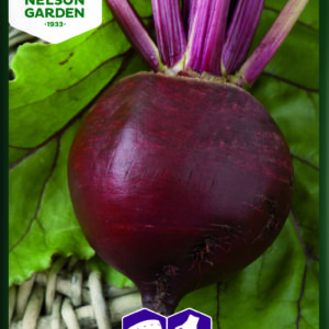 Punajuuri 'Solist', Kylvönauha