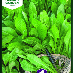 Salaattisikuri 'Sangria'