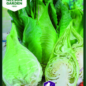 Suippokaali 'Filderkraut'