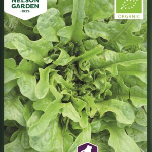 Tammenlehtisalaatti 'Catalonga', Organ