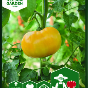 Tomaatti, Lemon Boy F1