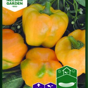 Vihannespaprika 'Cuneo Giallo'