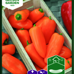 Vihannespaprika 'Hamik'