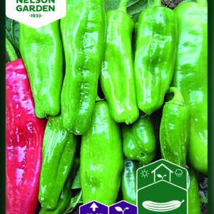 Vihannespaprika 'Tricorno'