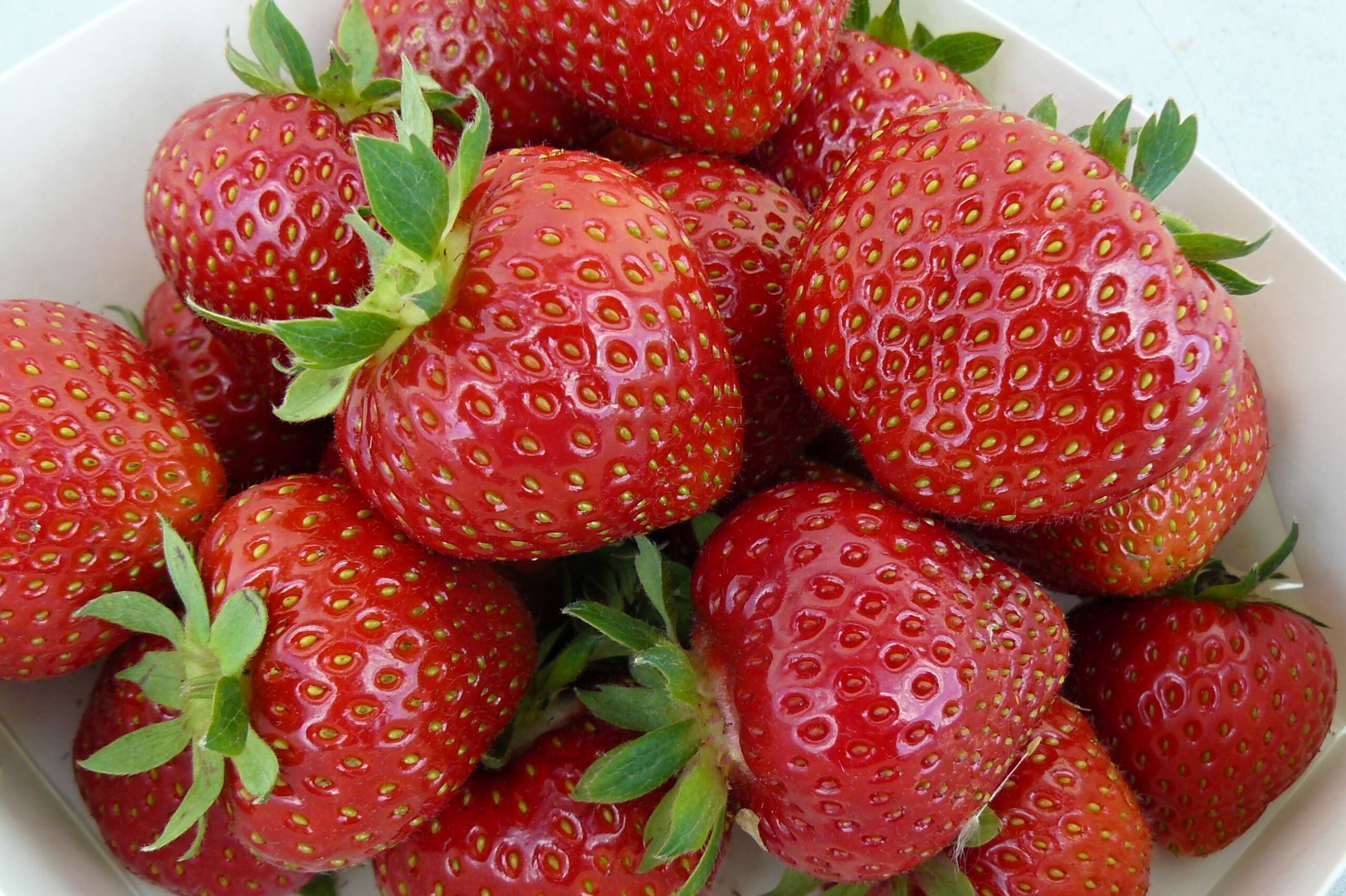 Mansikka 'Maiju'; 10kpl box