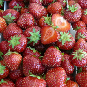 Mansikka 'Marketta'; 10kpl box