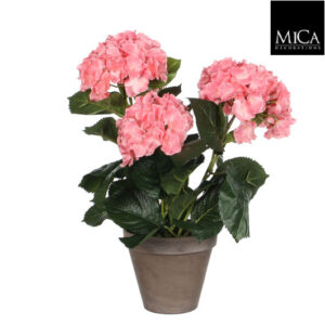 Hortensia 40cm ruukussa pinkki