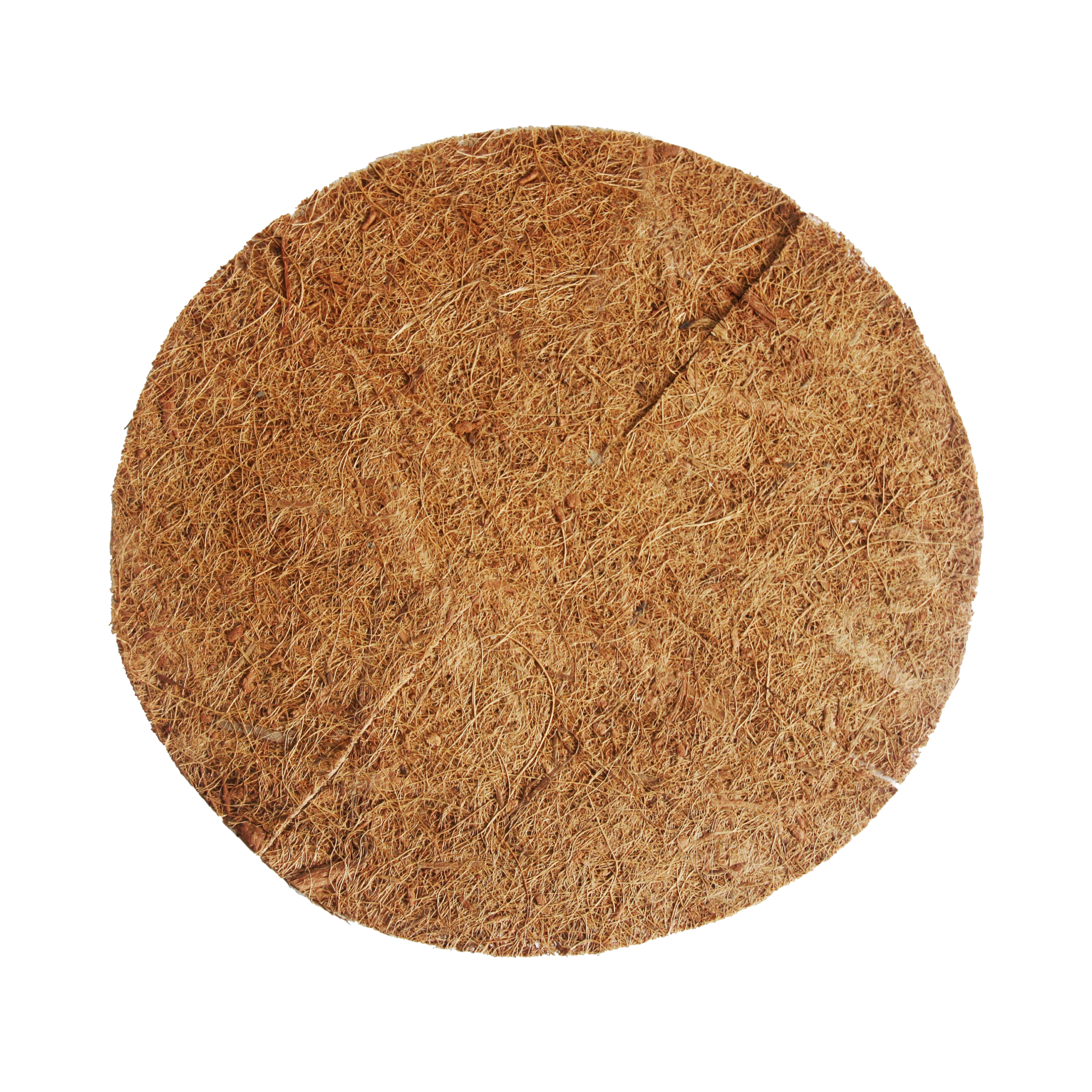 Kookossisus verkkoamppeliin, 35cm