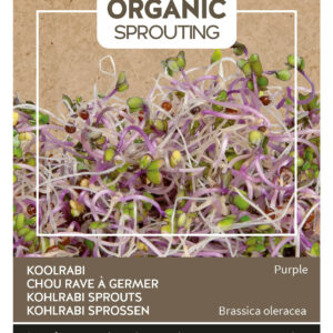 Buzzy Bio Sprouting Kyssäkaali violetti