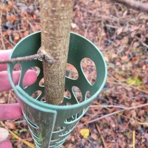 Rungonsuoja PRO 80cm