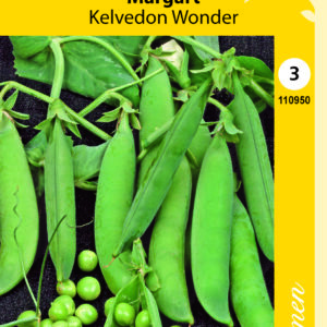 Silpoydinherne 'Kelvedon Wonder'