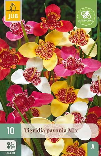 Tiikerikukka Mix 10 kpl