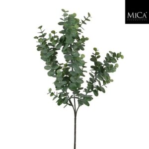 Eucalyptusoksa vihreä 65cm