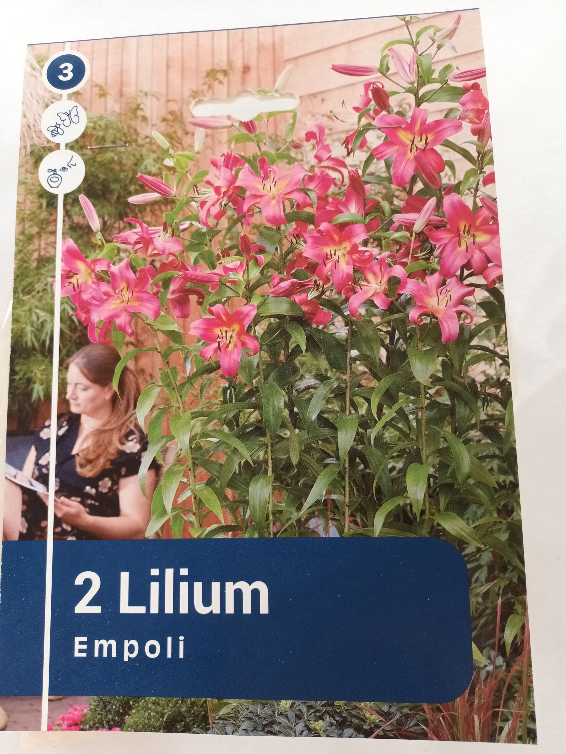 Puulilja 'Empoli' 2 kpl