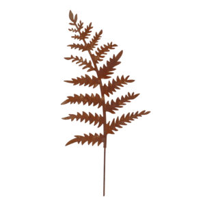 Puutarhakoriste 'Saniainen', ruoste