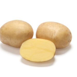 Siemenperuna 'Jussi' 3 kg