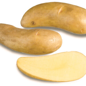 Siemenperuna Puikula 3 kg