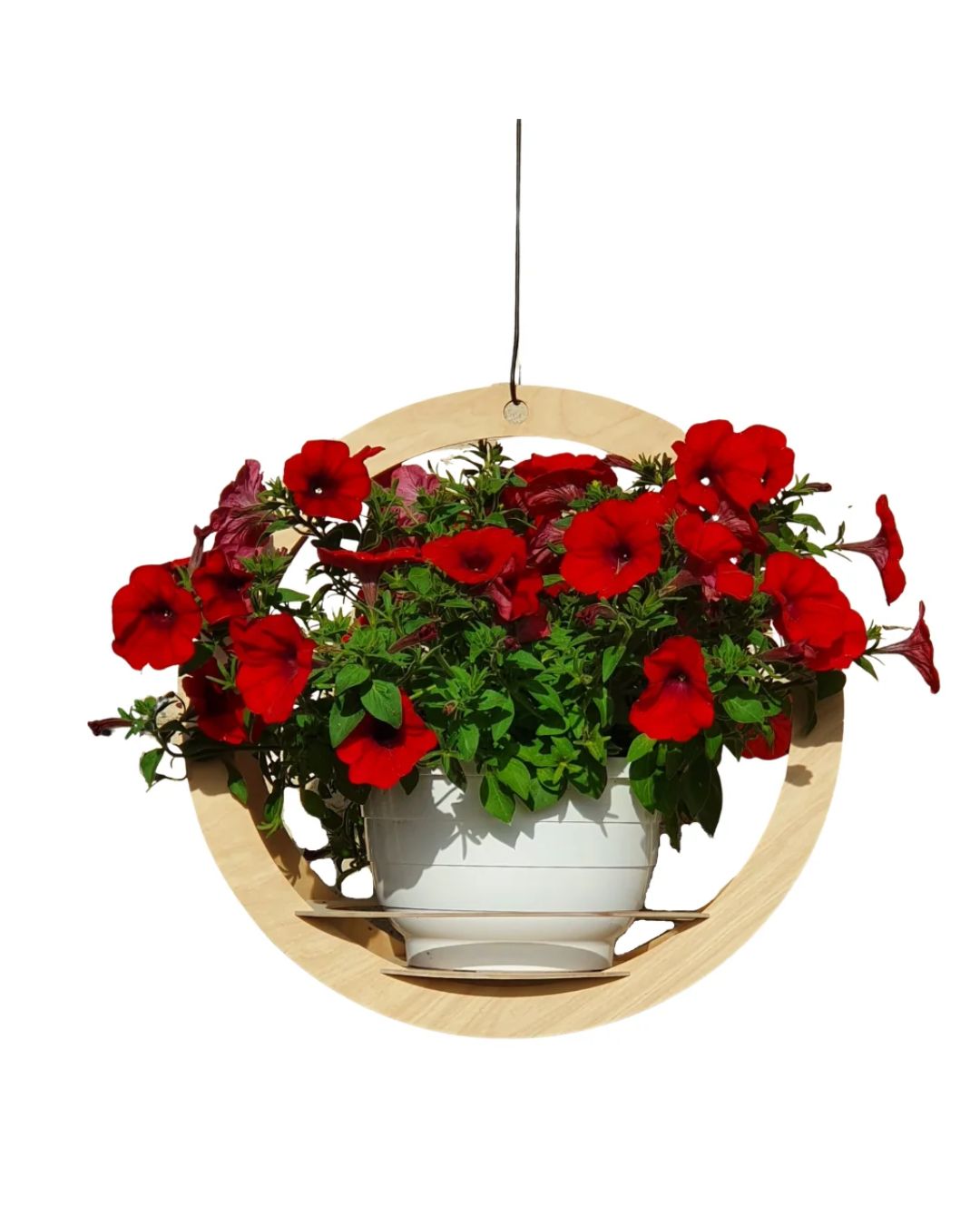 Taika Amppeli 52cm vaalea koivu