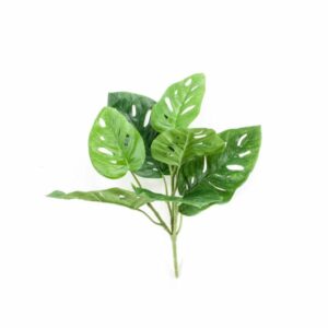 Aarnipeikonlehti 30cm nippu